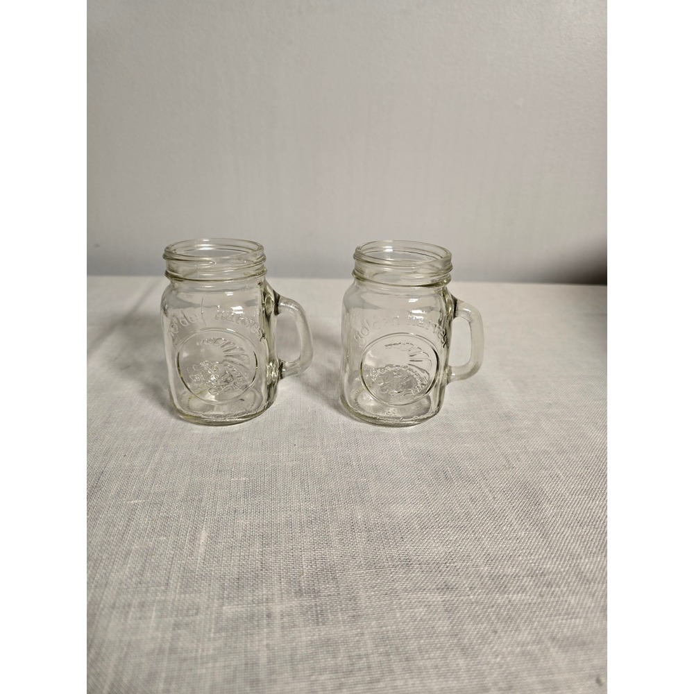 Golden Harvest Mini Mason Jar Mugs Clear Glass Set of 2 OS